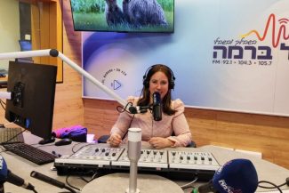 שיפי גרימברג-חריטן
