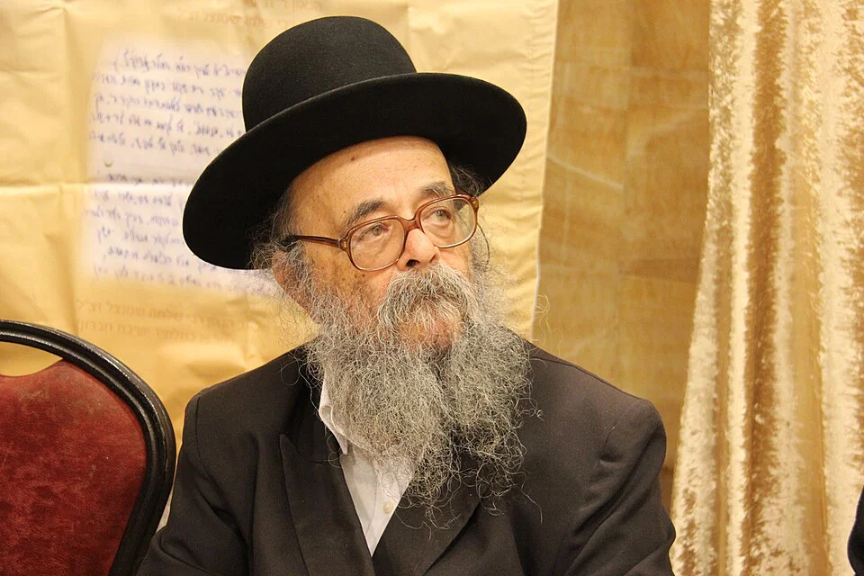 הגאון רבי דוד שמידל | צילום: דודי פרידמן