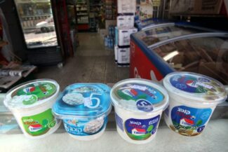 צילום: פלאש 90