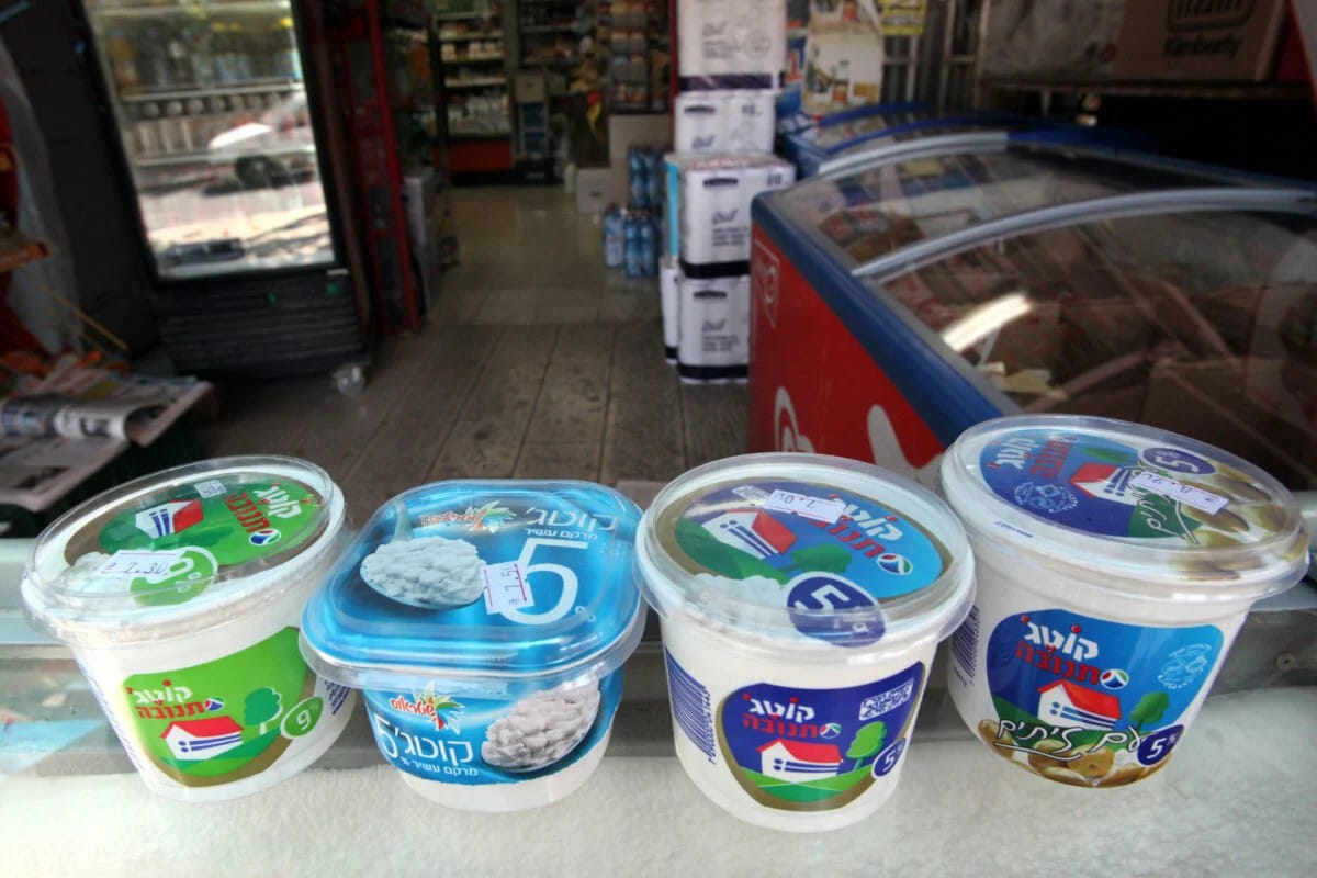 צילום: פלאש 90