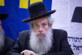 זייברט. צילום: פלאש 90