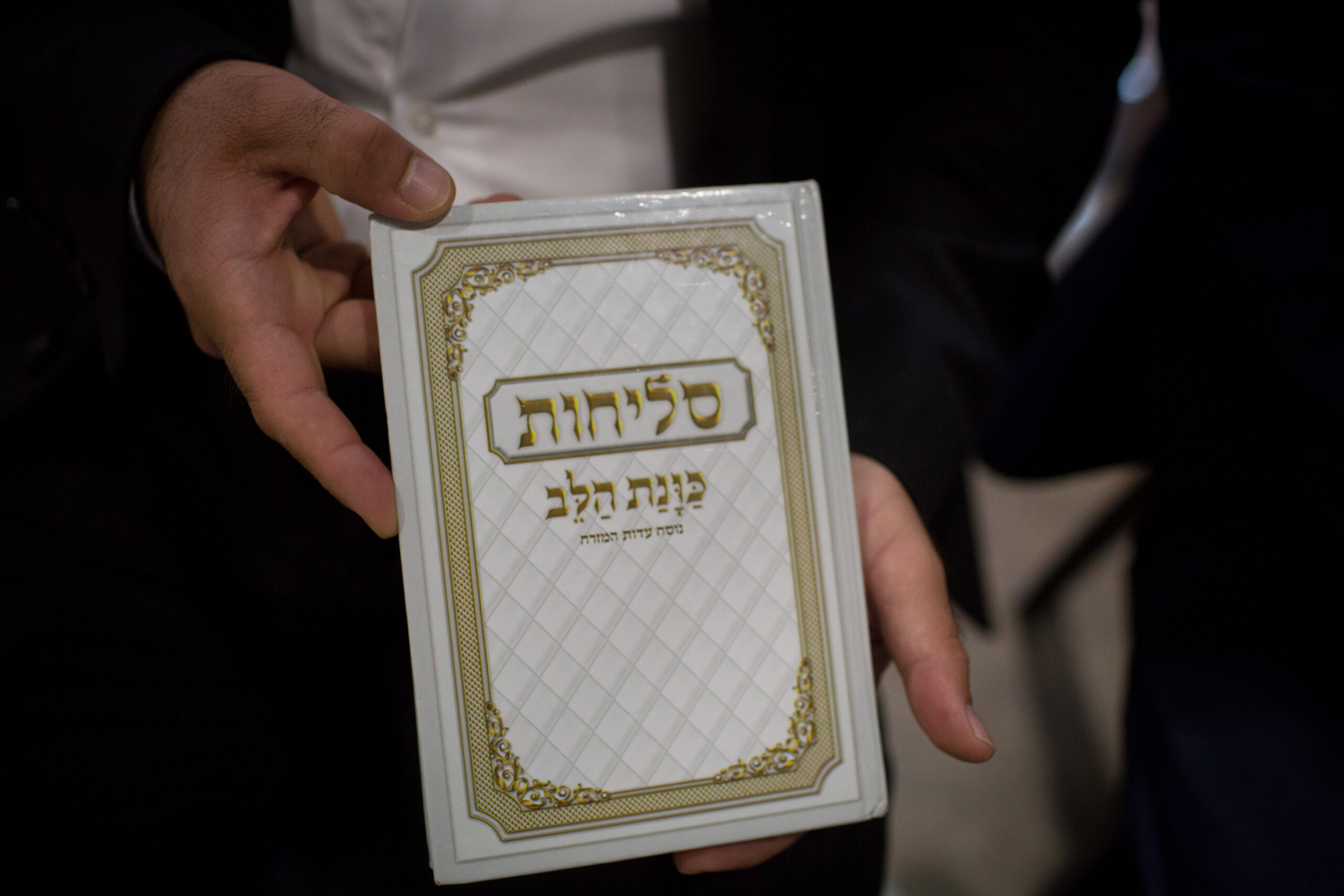 צילום: ליאור מזרחי/פלאש 90