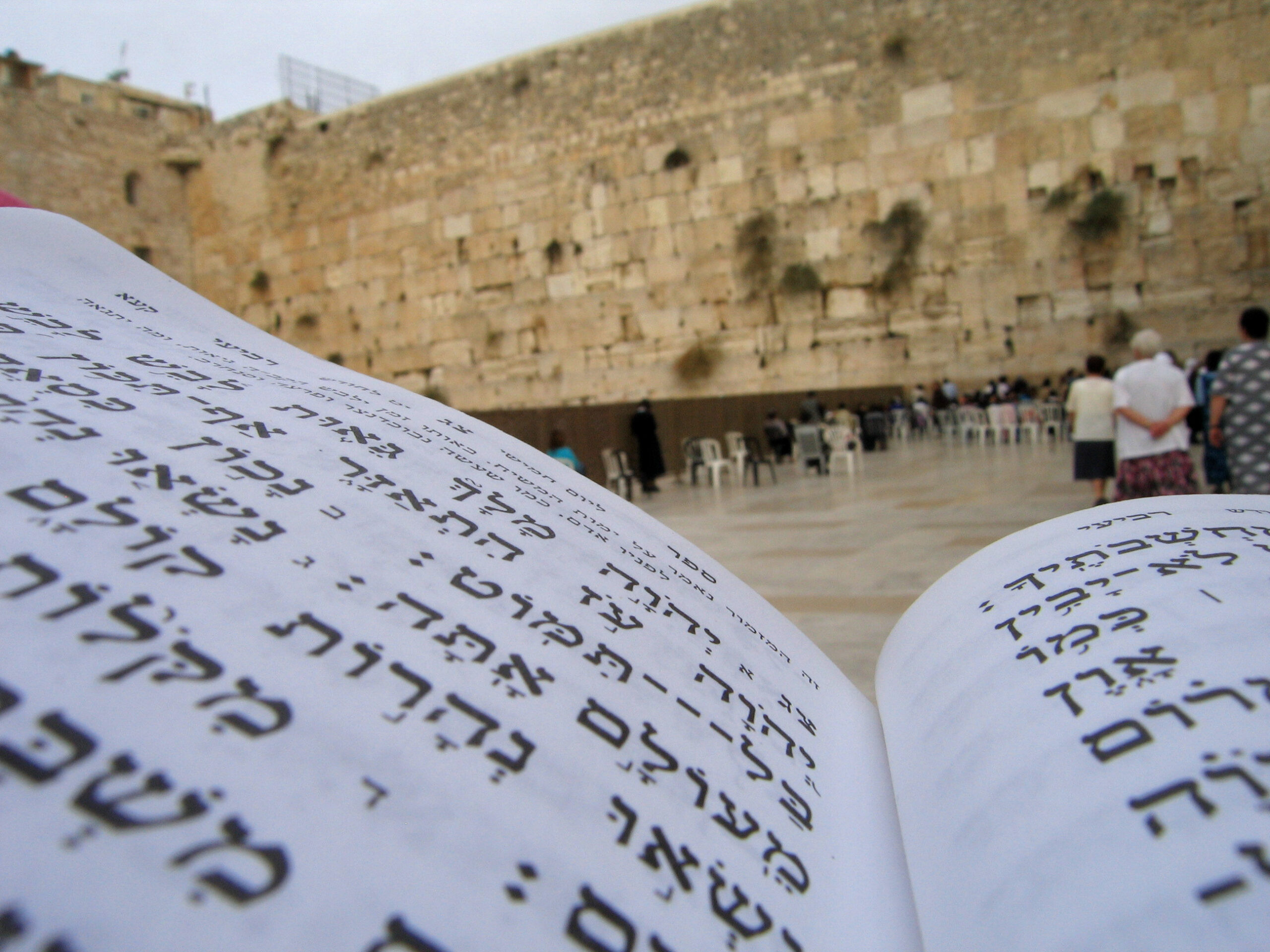 צילום: פלאש 90