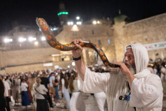 צילום: חיים גולדברג/פלאש 90