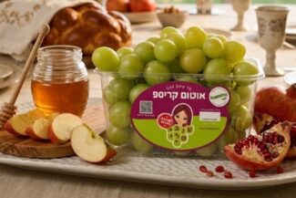 צילום: יח"צ